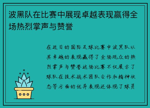 波黑队在比赛中展现卓越表现赢得全场热烈掌声与赞誉